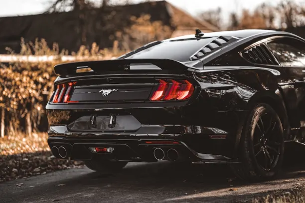 PlaySunny Kasino Android/iOS Sovellus